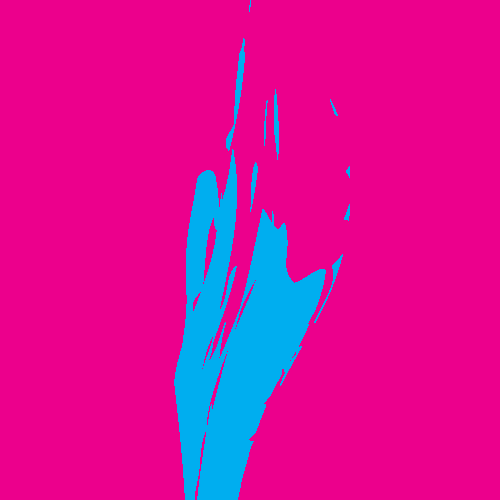 2D